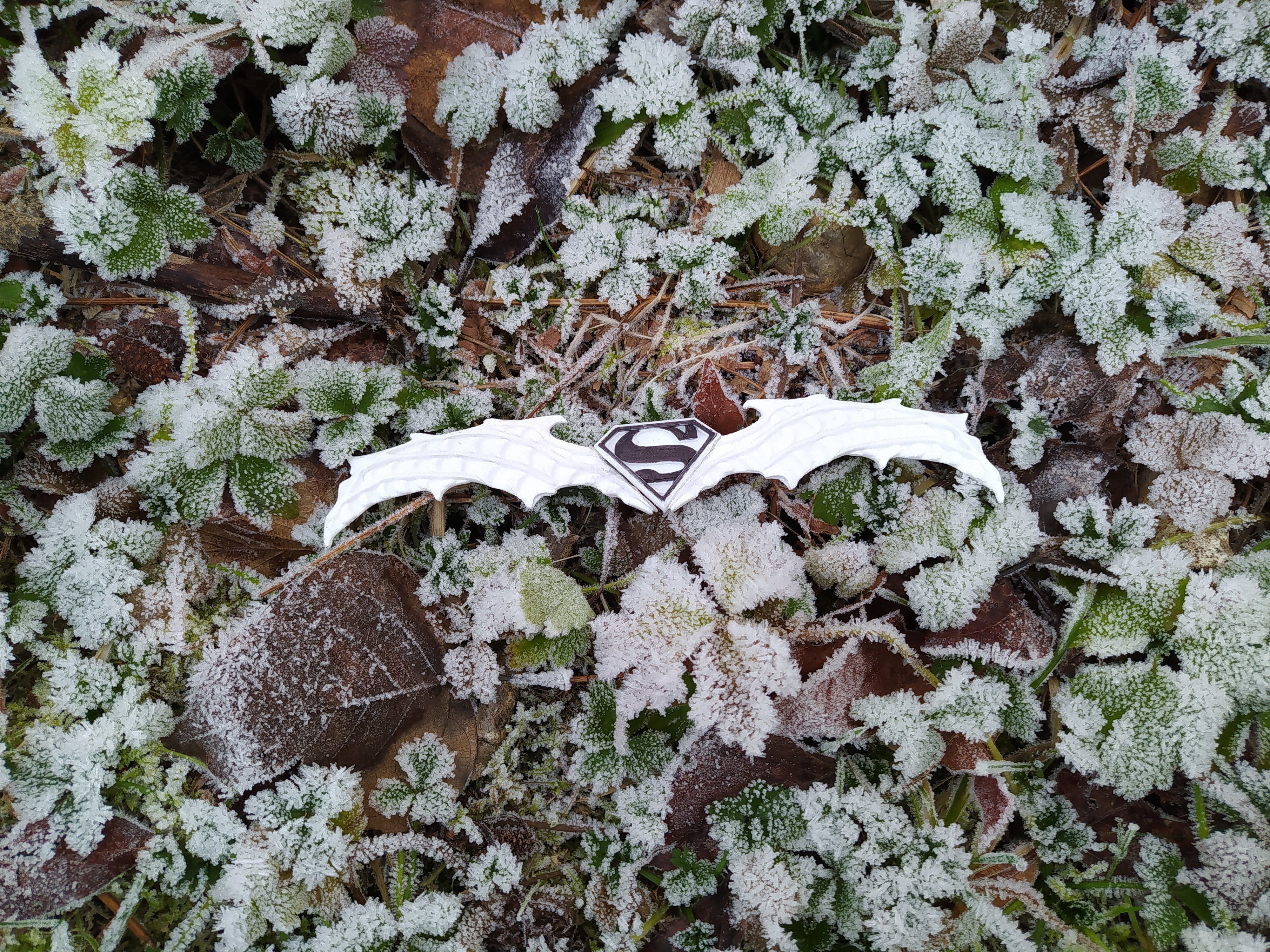 Batman Who Laughs Krypton Batarang 3D print model_1