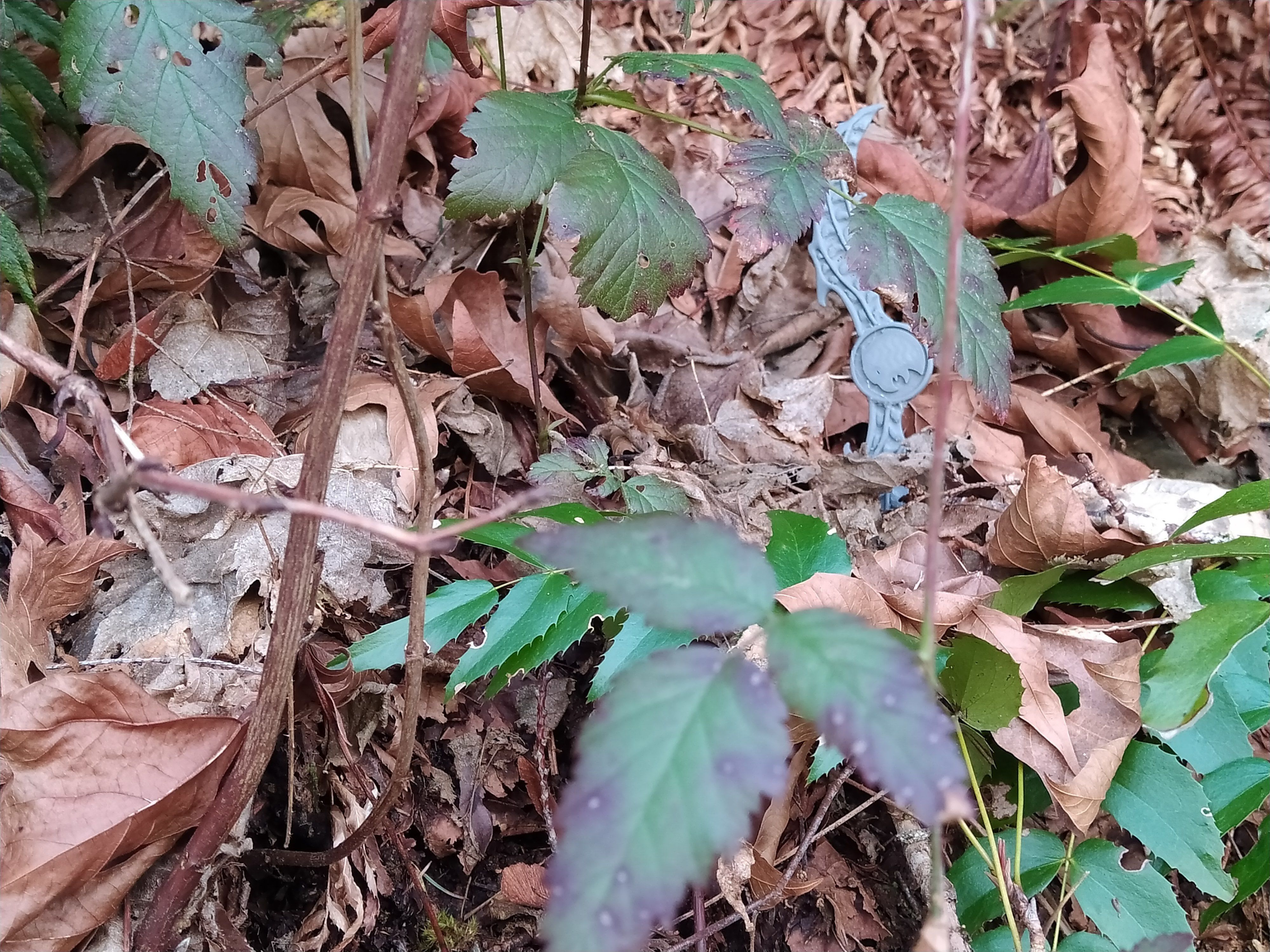 Batman Who Laughs Sky Tyrant Batarang 3D print model_2