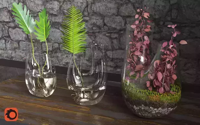 Plant Terrarium SET4