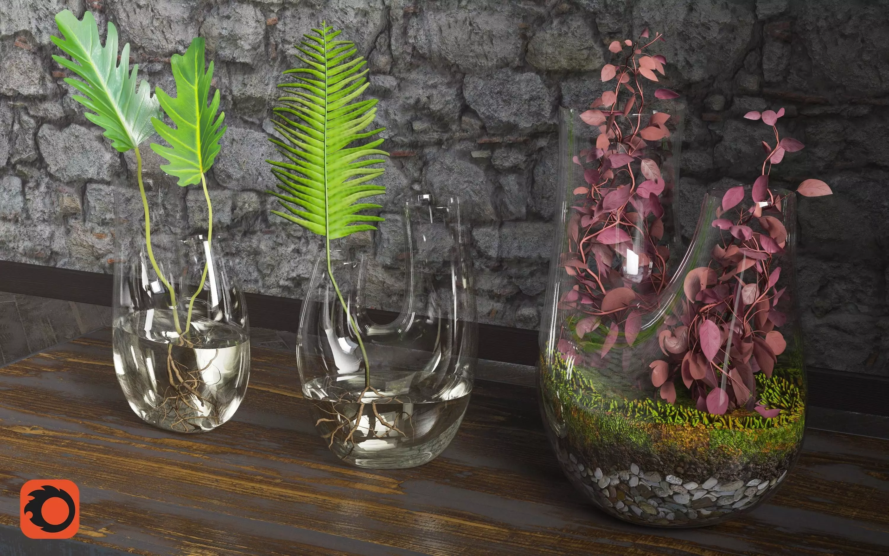 Plant Terrarium SET4 3D model