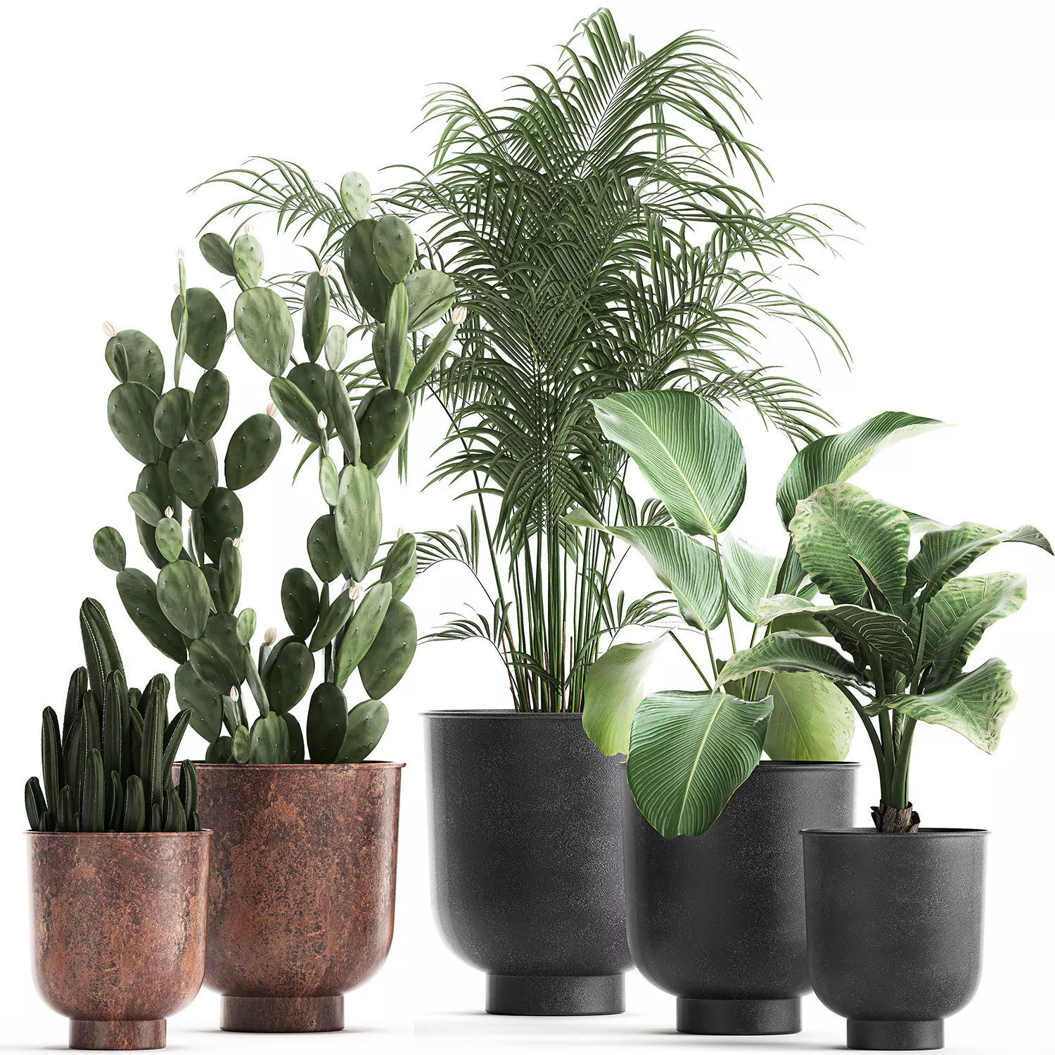 Decorative plants in flowerpots 835 3D model