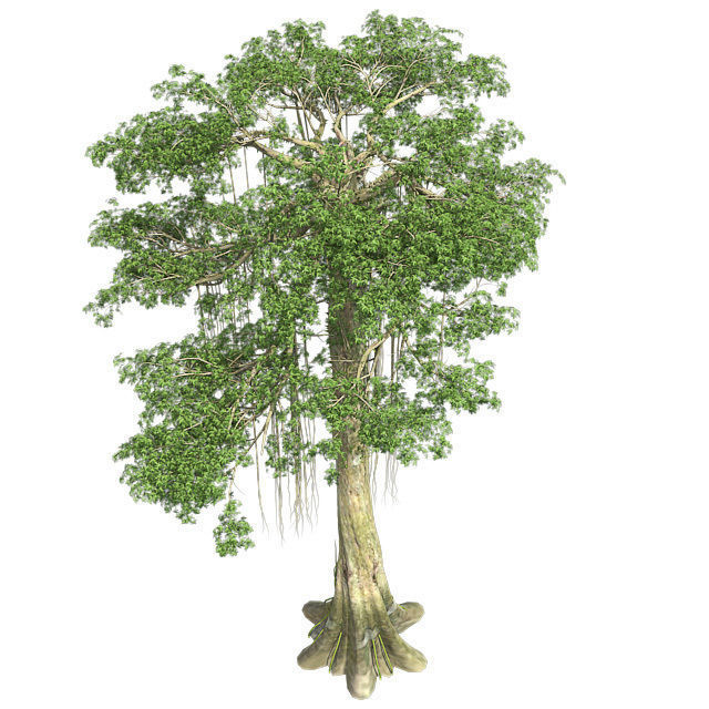 Kopak Tree Low-poly 3D model_2