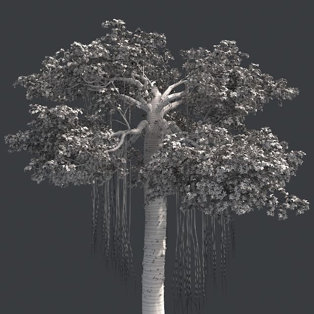Kopak Tree Low-poly 3D model_4