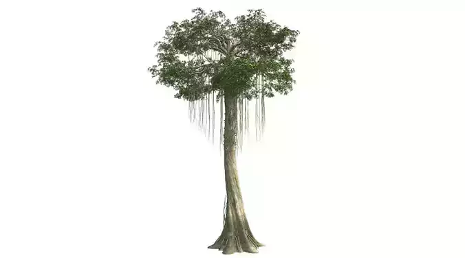 Kopak Tree Low-poly 3D model