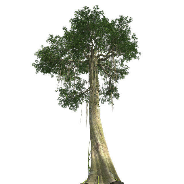 Kopak Tree Low-poly 3D model_1