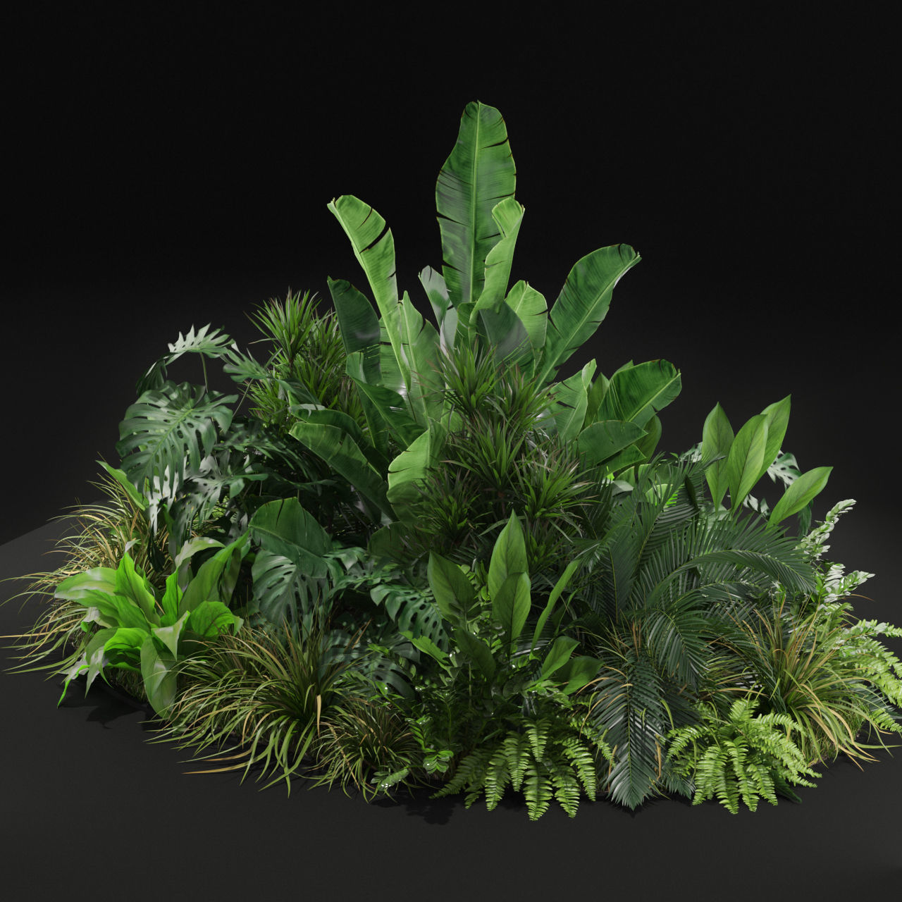 Plants collection 445 3D model_1