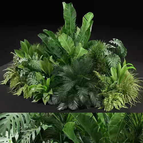 Plants collection 445 3D model