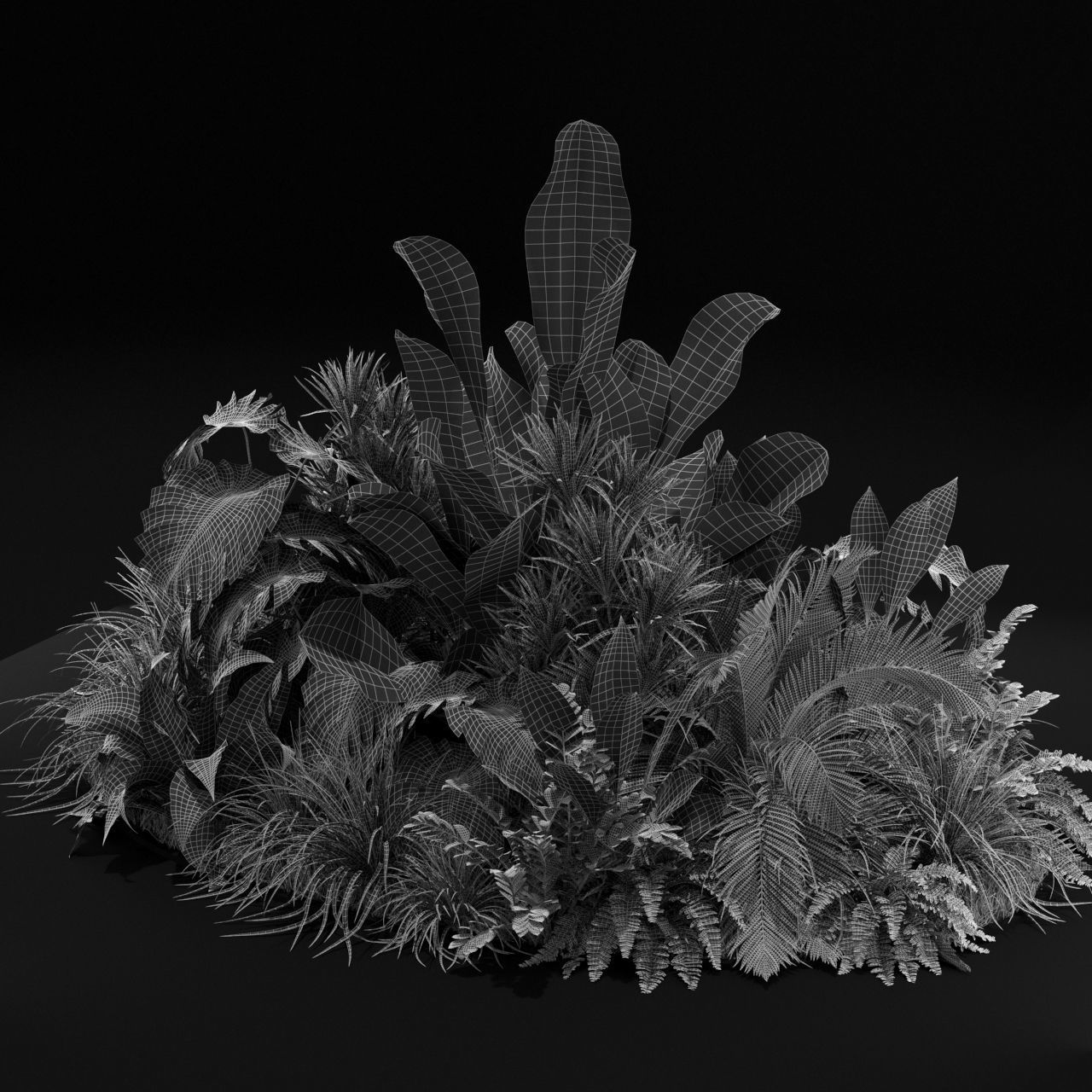 Plants collection 445 3D model_5