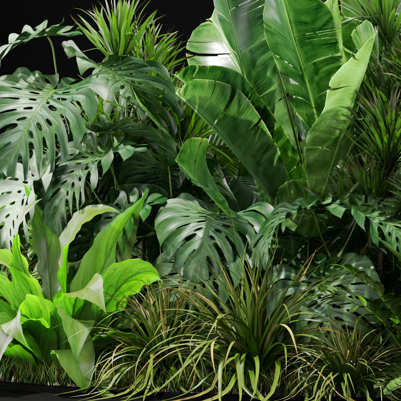 Plants collection 445 3D model_3