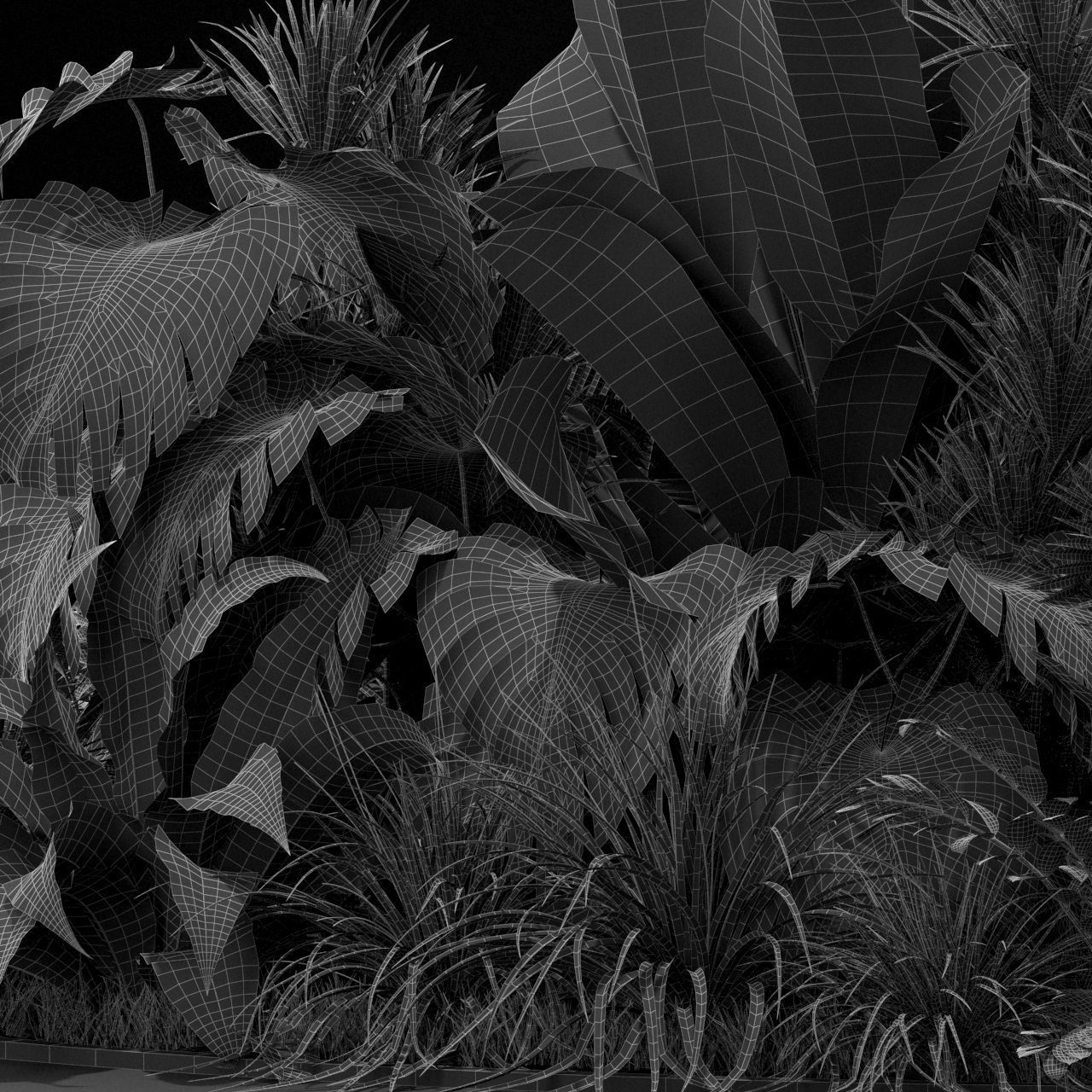 Plants collection 445 3D model_4