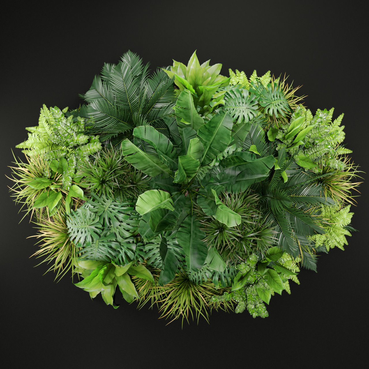 Plants collection 445 3D model_2