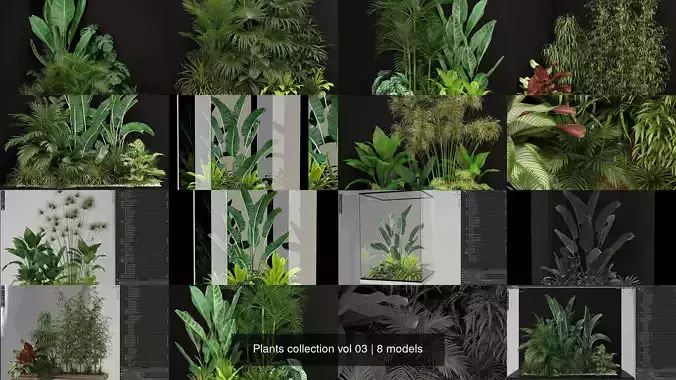 Plants collection vol 03 