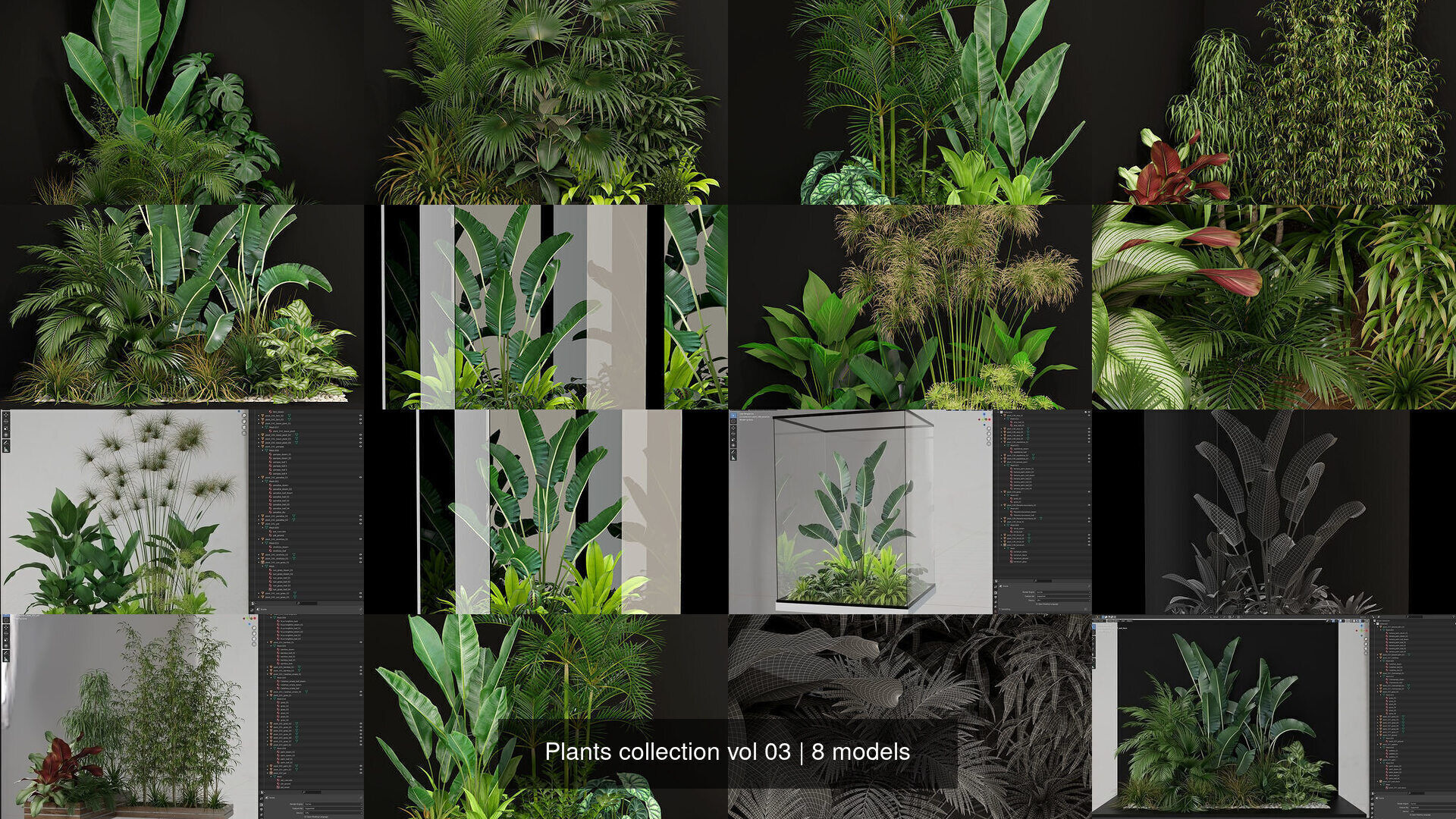 Plants collection vol 03 _0