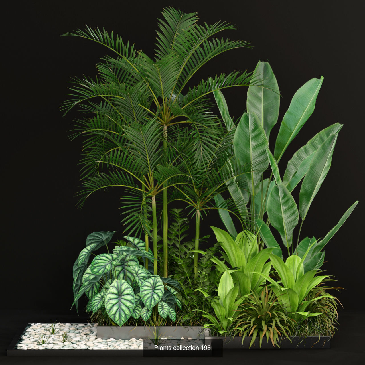 Plants collection vol 03 _4