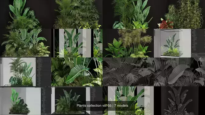 Plants collection vol 03