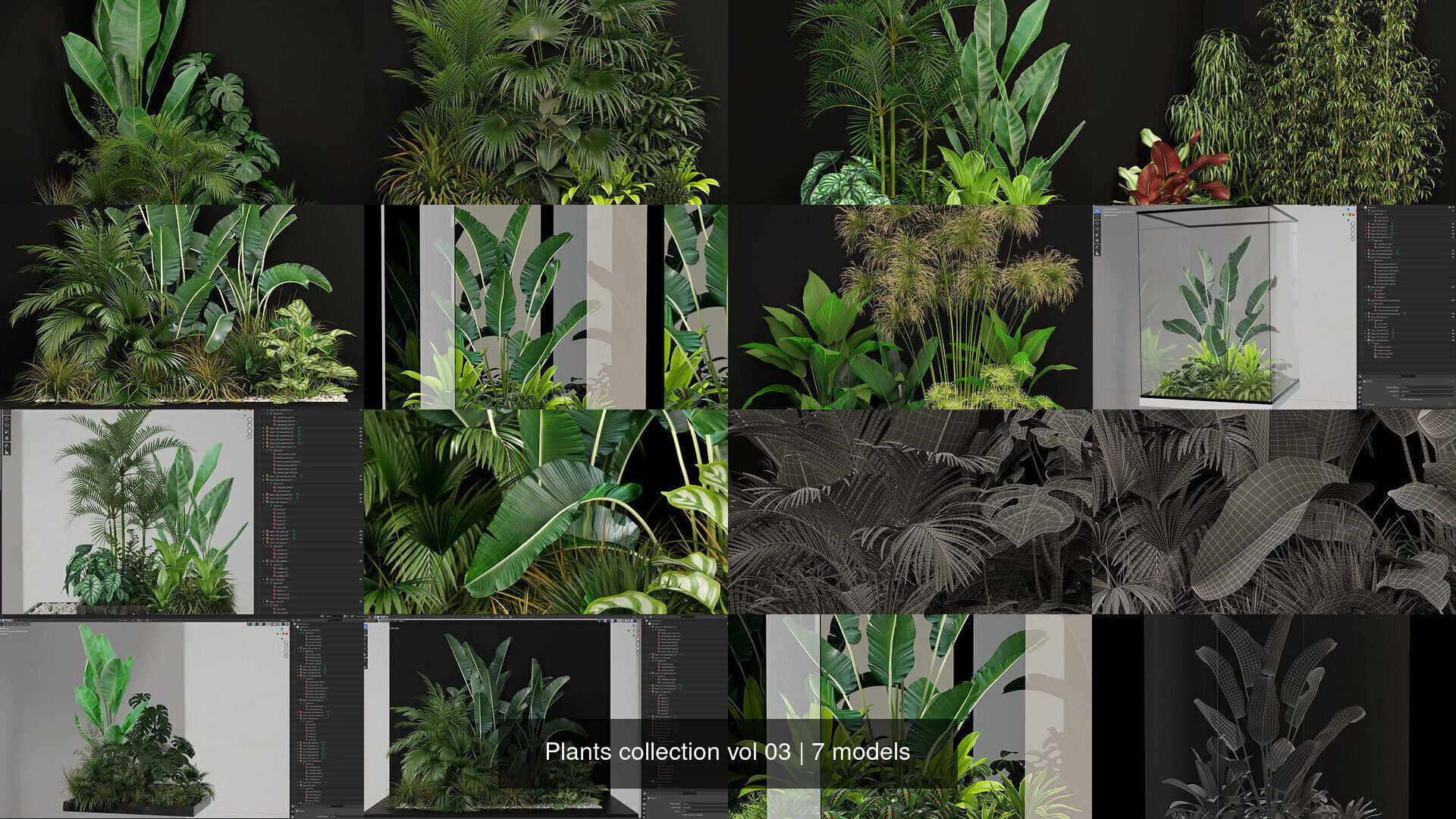 Plants collection vol 03 _1