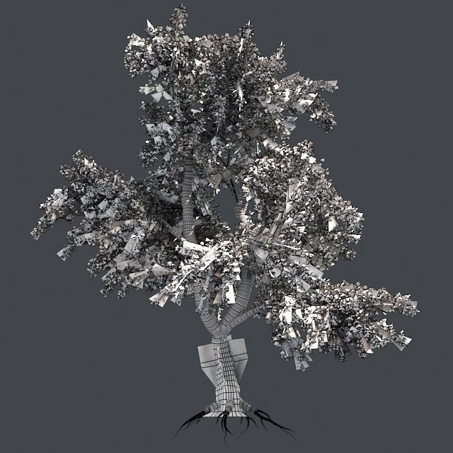 Katsura Tree Low-poly 3D model_5