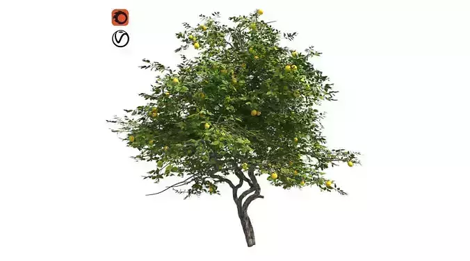 Lemon Fruit Tree Low-poly 3D model