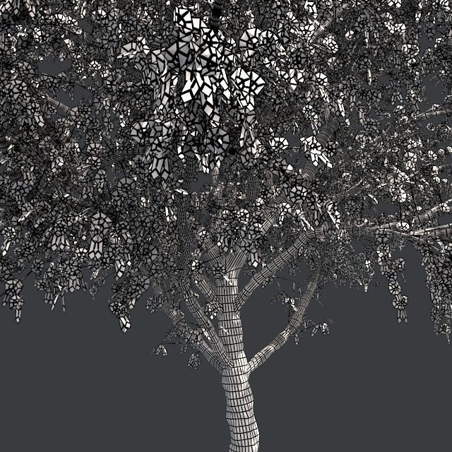 Peach Flowers Tree Low-poly 3D model_4