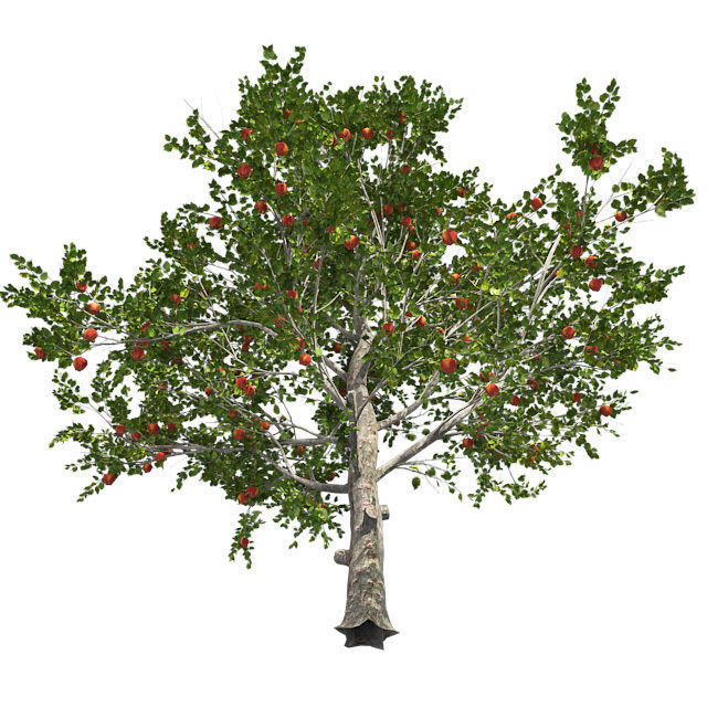 Red Delicious Apple Tree Low-poly 3D model_1