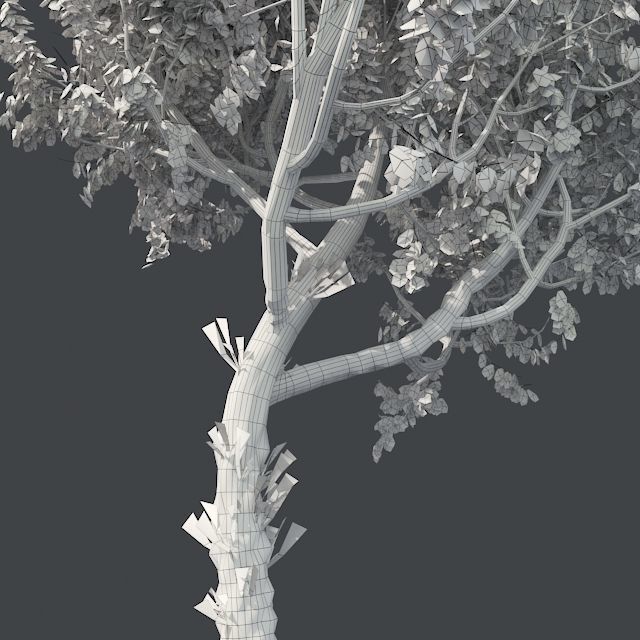 Red Oak Tree Low-poly 3D model_4