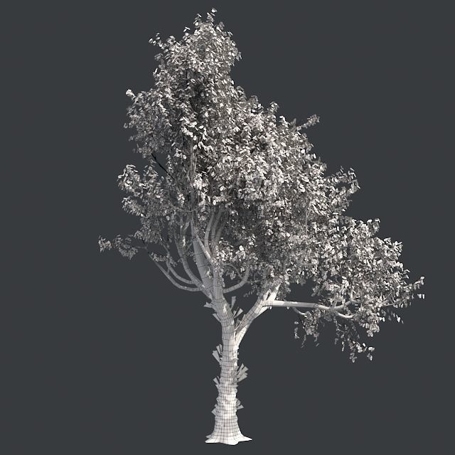 Red Oak Fall Tree Low-poly 3D model_4