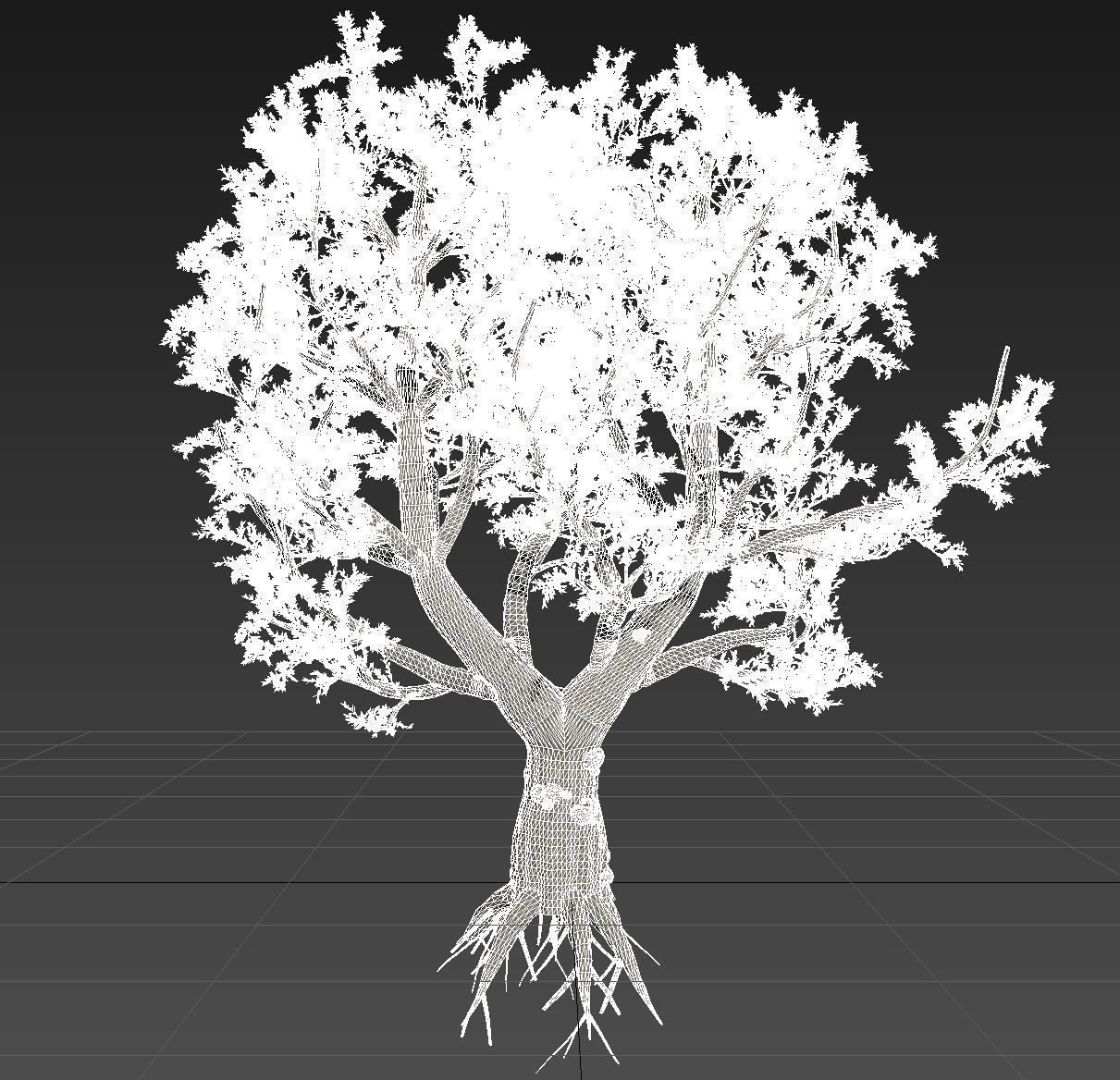 African Olive tree with roots 3D model_10