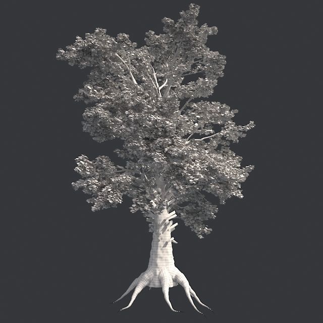 Sass Afras Tree Low-poly 3D model_4