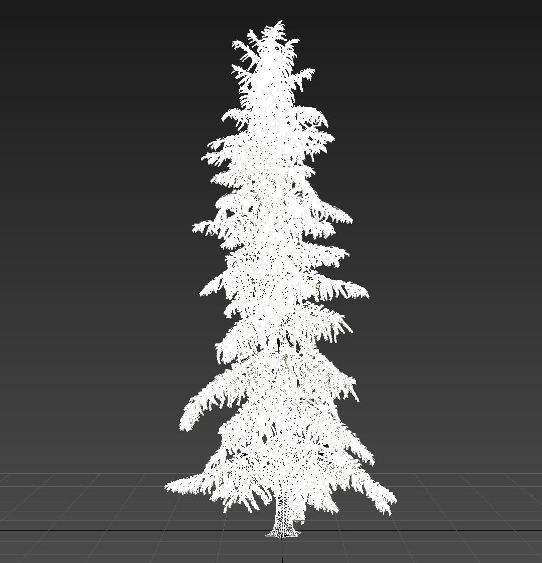 Alaska Cedar tree 3D model_10