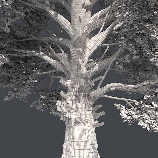 Sassafras Fall Tree Low-poly 3D model_4