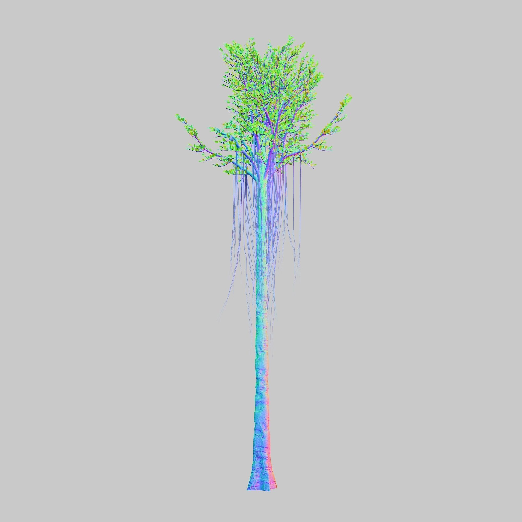 Aquilaria Agarwood tree 3D model_9