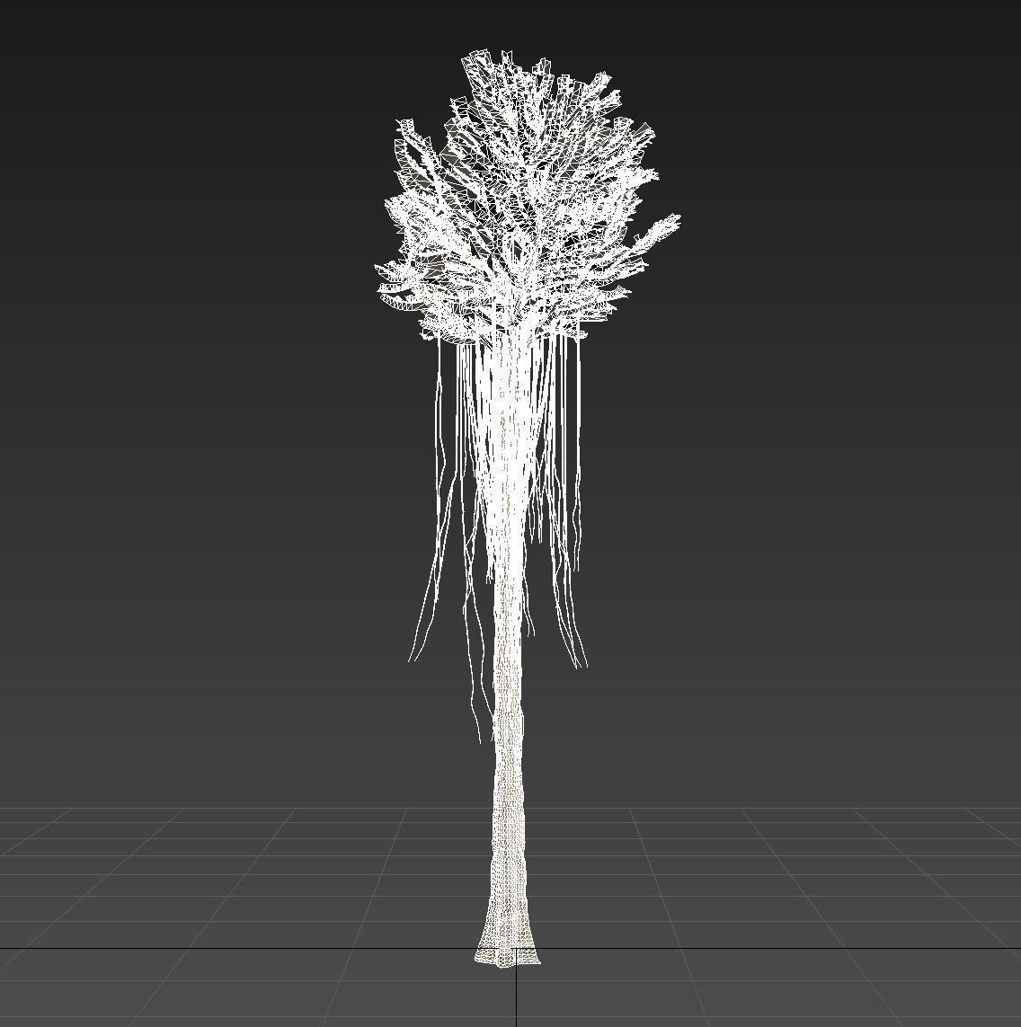 Aquilaria Agarwood tree 3D model_10