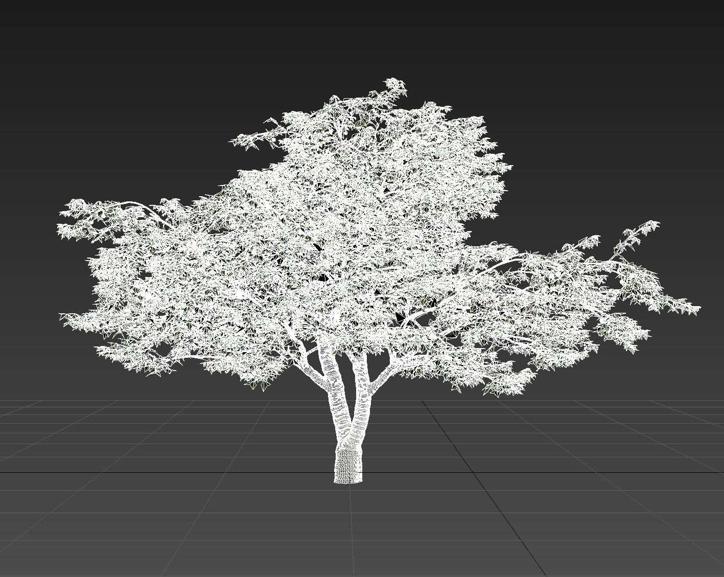 Cherry Tree 3D model_11