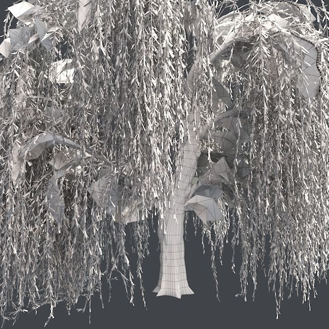 Weeping Willow Tree Low-poly 3D model_4
