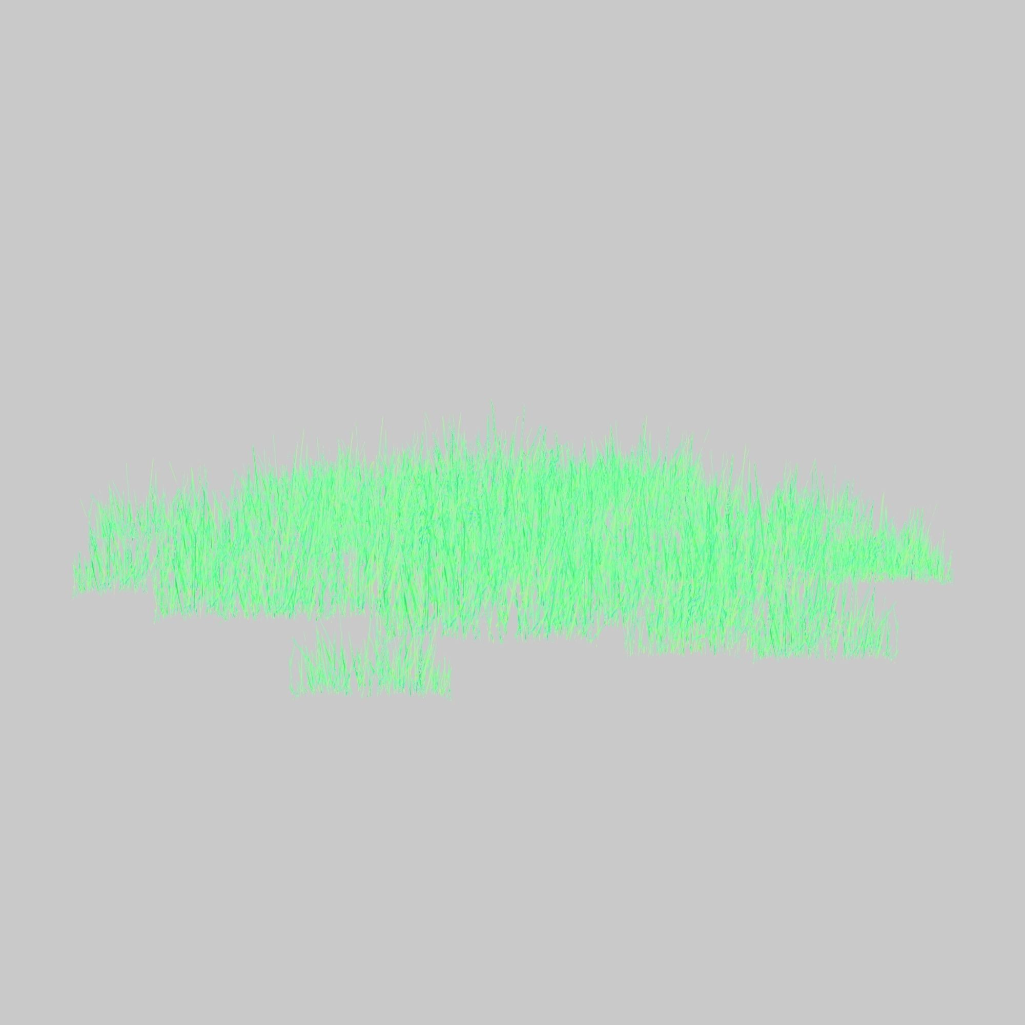 Plantation Grasses grass plant 3D model_9