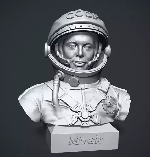 Elon Musk 3D print model