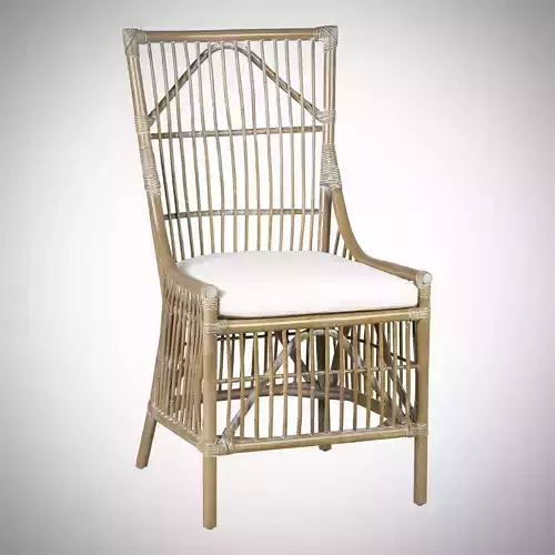 Rattan dining chair