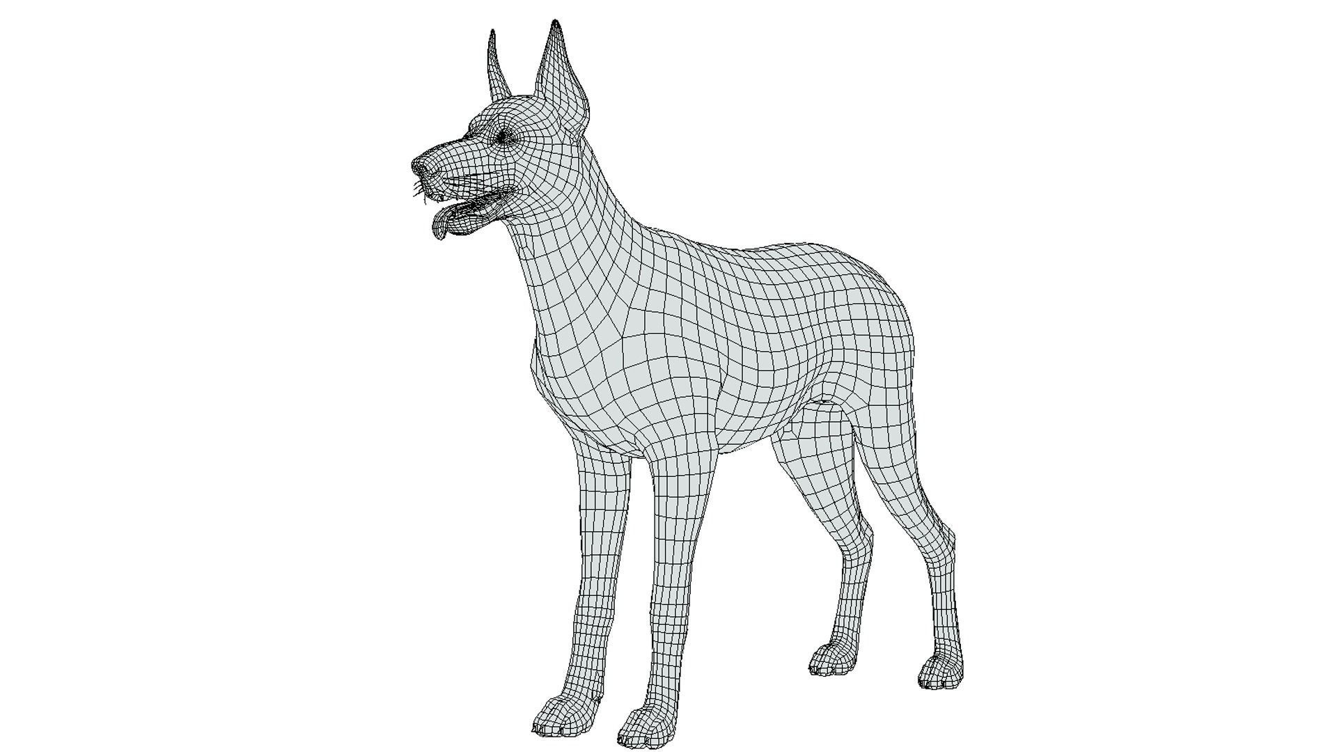 Dog - Doberman Low-poly 3D model_8
