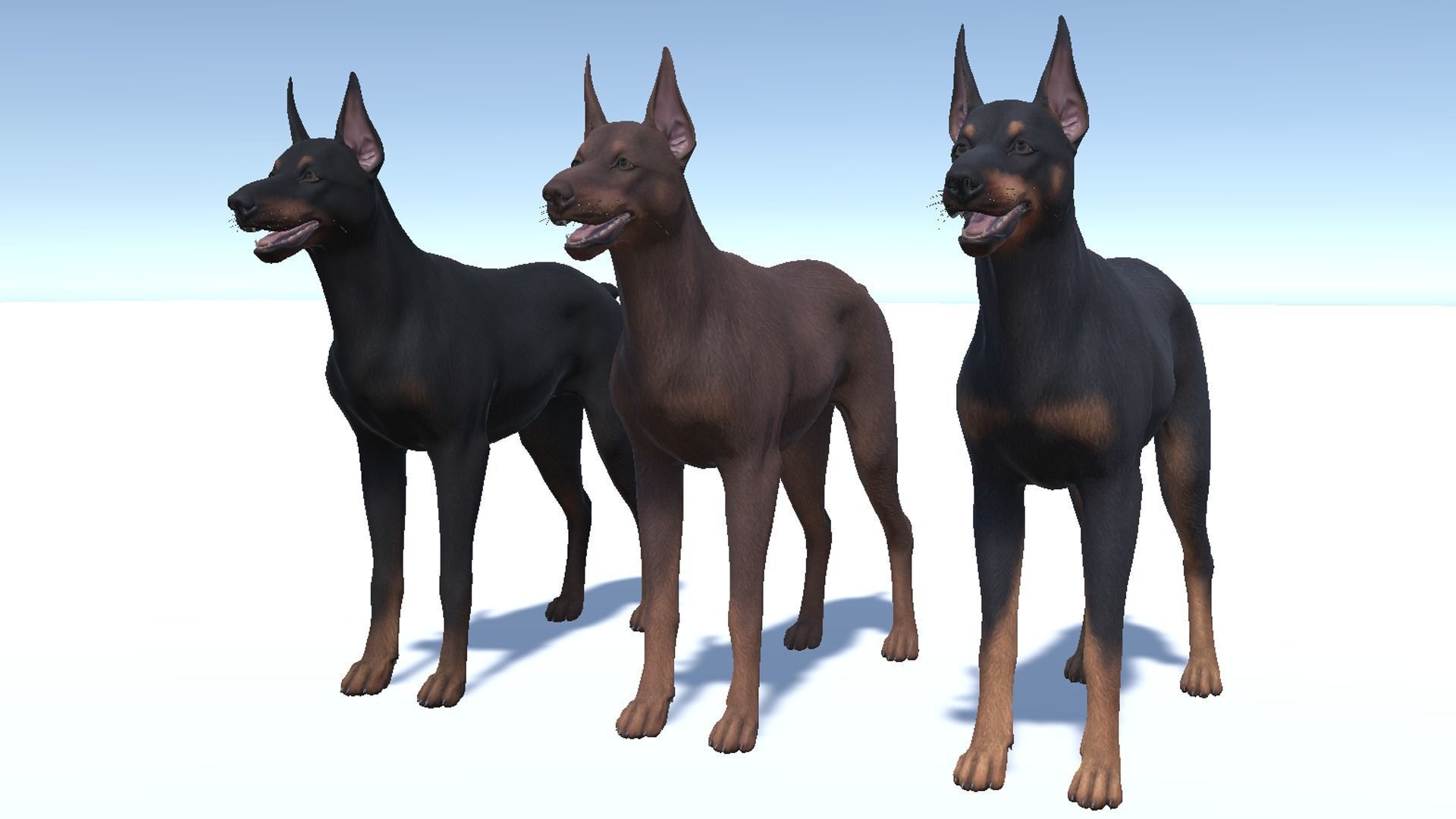 Dog - Doberman Low-poly 3D model_7