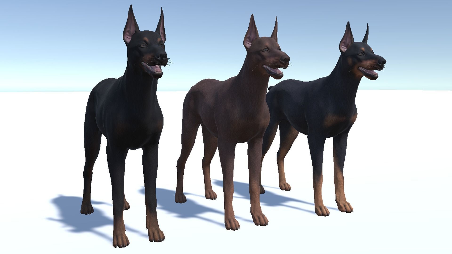 Dog - Doberman Low-poly 3D model_10
