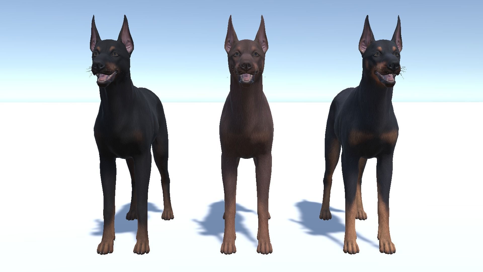 Dog - Doberman Low-poly 3D model_9