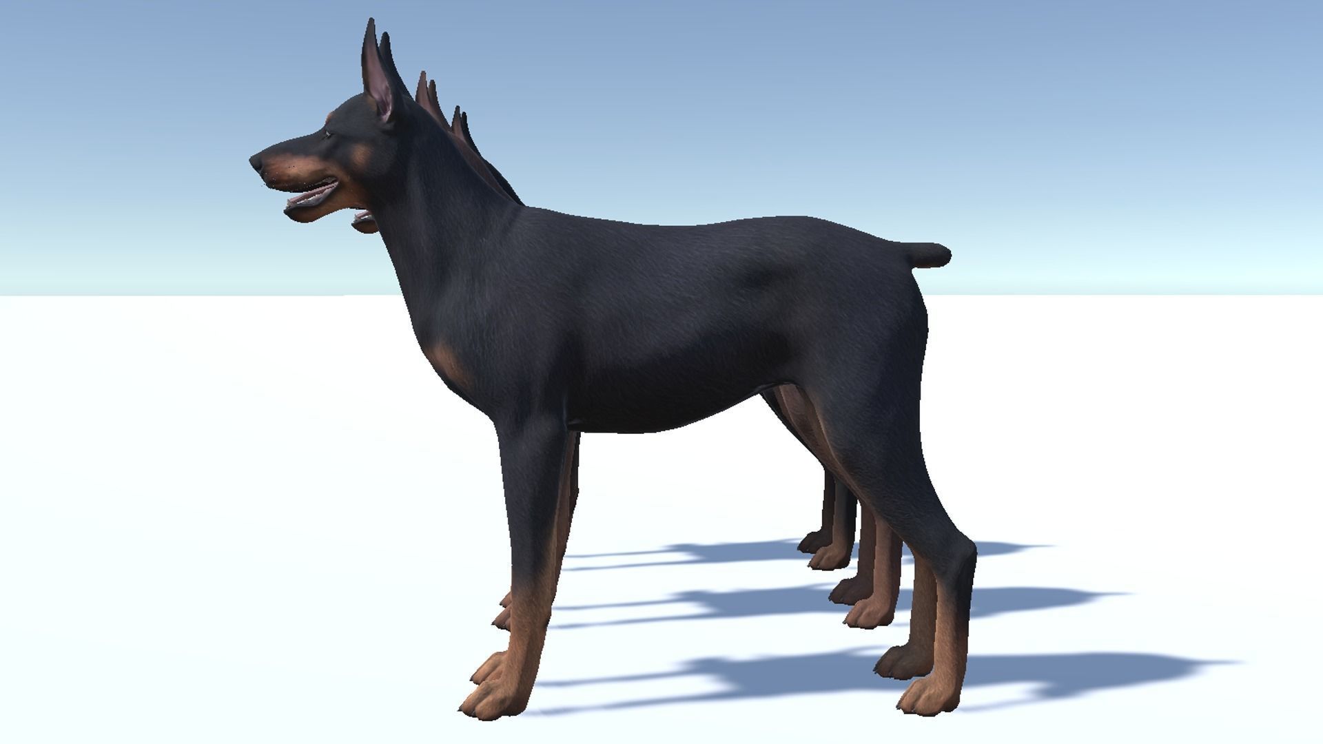 Dog - Doberman Low-poly 3D model_12