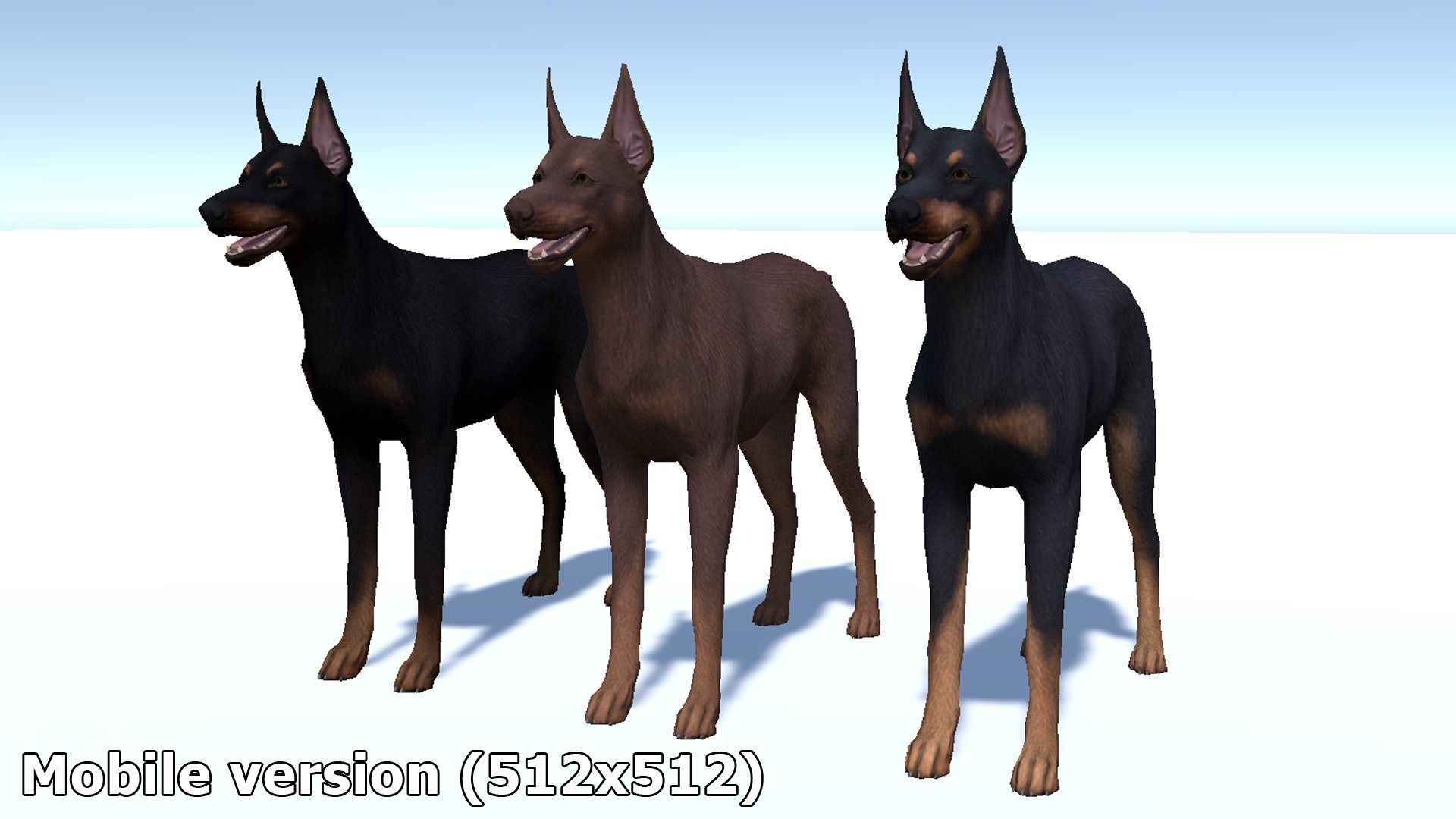 Dog - Doberman Low-poly 3D model_14