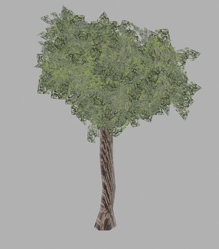 Tree 3D
