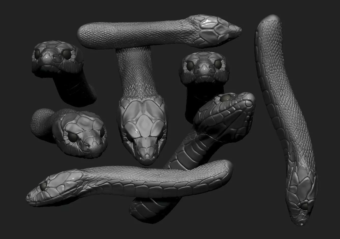 snake head 3D print model_0