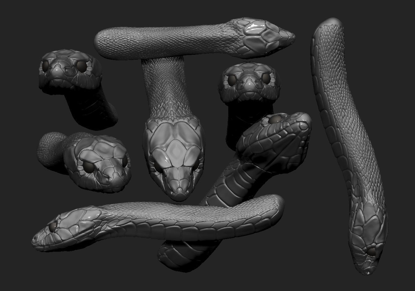 snake head 3D print model_1