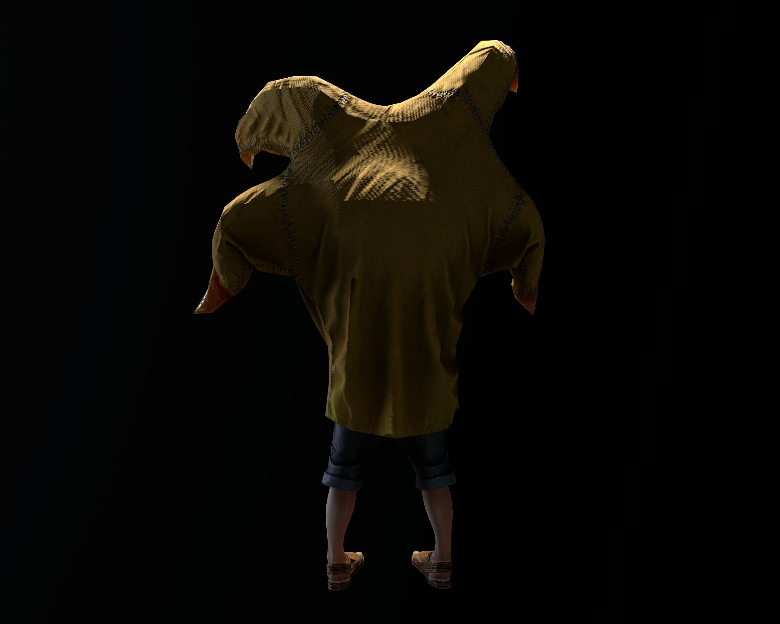 Chd1 Patrick Low-poly 3D model_2