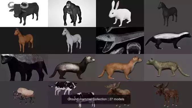 Ground mammal Collection 