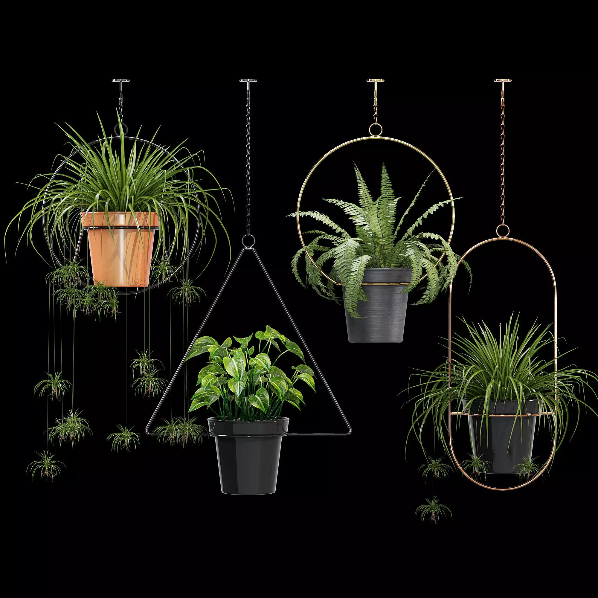 Geometric Plant Flower 3D model