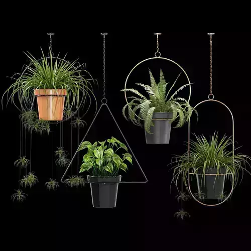 Geometric Plant Flower